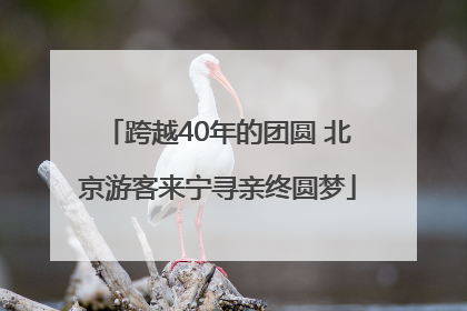 跨越40年的团圆 北京游客来宁寻亲终圆梦