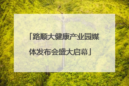 路顺大健康产业园媒体发布会盛大启幕