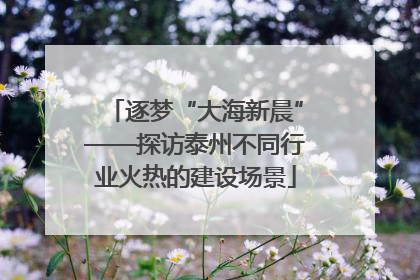 逐梦“大海新晨”——探访泰州不同行业火热的建设场景