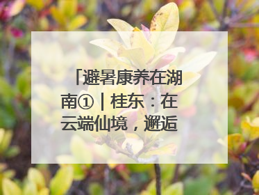 避暑康养在湖南①｜桂东：在云端仙境，邂逅一场清凉之约