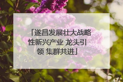 遂昌发展壮大战略性新兴产业 龙头引领 集群共进