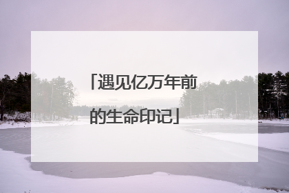 遇见亿万年前的生命印记