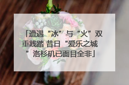 遭遇“冰”与“火”双重践踏 昔日“爱乐之城”洛杉矶已面目全非