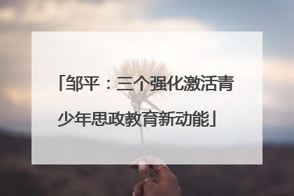 邹平：三个强化激活青少年思政教育新动能