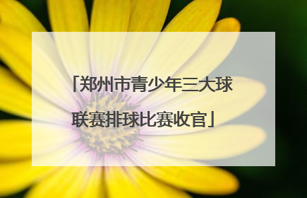 郑州市青少年三大球联赛排球比赛收官