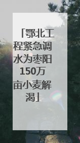 鄂北工程紧急调水为枣阳150万亩小麦解渴