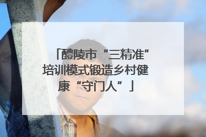 醴陵市“三精准”培训模式锻造乡村健康“守门人”