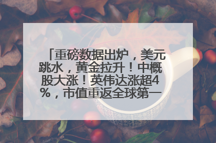 重磅数据出炉，美元跳水，黄金拉升！中概股大涨！英伟达涨超4%，市值重返全球第一！黄仁勋计划出售至多600万股股票