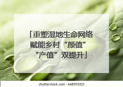 重塑湿地生命网络 赋能乡村“颜值”“产值”双提升
