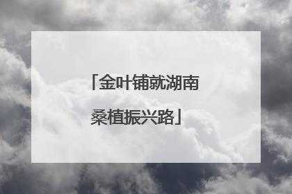 金叶铺就湖南桑植振兴路