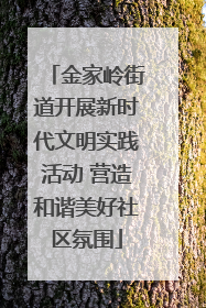 金家岭街道开展新时代文明实践活动 营造和谐美好社区氛围