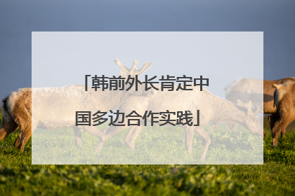 韩前外长肯定中国多边合作实践