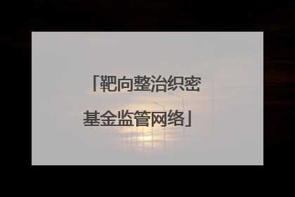 靶向整治织密基金监管网络