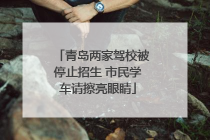 青岛两家驾校被停止招生 市民学车请擦亮眼睛