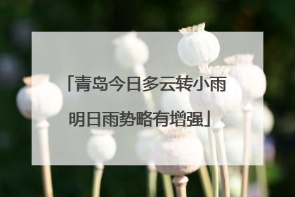 青岛今日多云转小雨 明日雨势略有增强