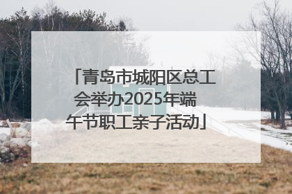 青岛市城阳区总工会举办2025年端午节职工亲子活动