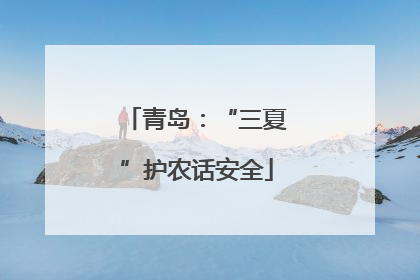 青岛：“三夏”护农话安全