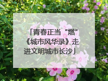 青春正当“燃”《城市风华录》走进文明城市长沙