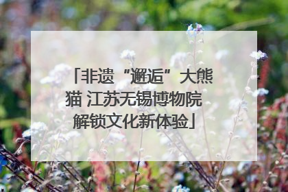 非遗“邂逅”大熊猫 江苏无锡博物院解锁文化新体验