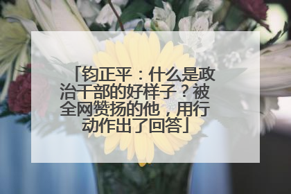 钧正平：什么是政治干部的好样子？被全网赞扬的他，用行动作出了回答