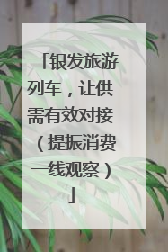 银发旅游列车，让供需有效对接（提振消费一线观察）