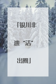 银川非遗“活”出圈