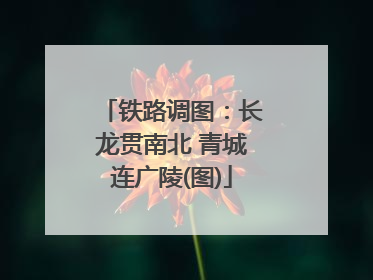 铁路调图：长龙贯南北 青城连广陵(图)