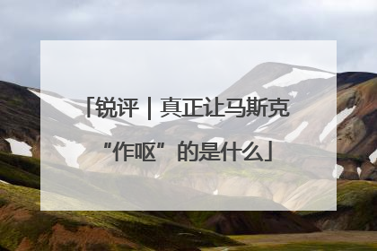 锐评｜真正让马斯克“作呕”的是什么