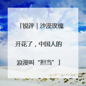 锐评｜沙漠玫瑰开花了，中国人的浪漫叫“担当”