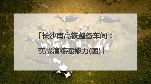 长沙南高铁整备车间：实战演练强能力(图)