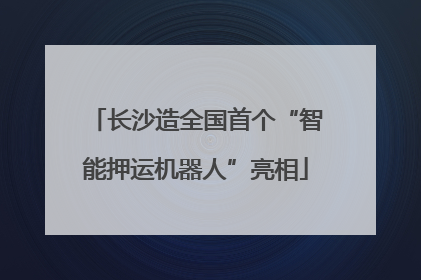 长沙造全国首个“智能押运机器人”亮相