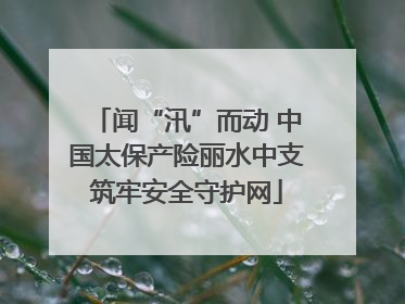 闻“汛”而动 中国太保产险丽水中支筑牢安全守护网