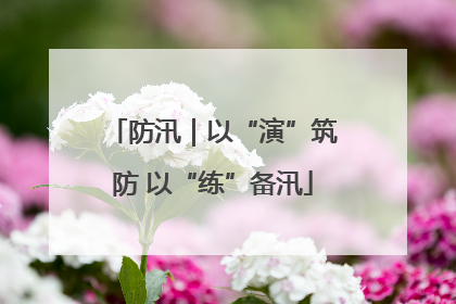 防汛｜以“演”筑防 以“练”备汛