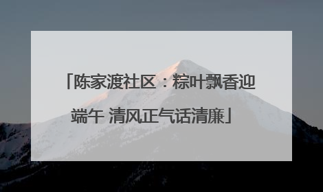 陈家渡社区：粽叶飘香迎端午 清风正气话清廉
