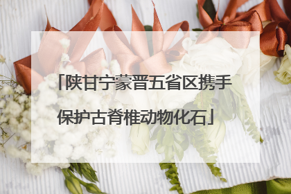 陕甘宁蒙晋五省区携手保护古脊椎动物化石