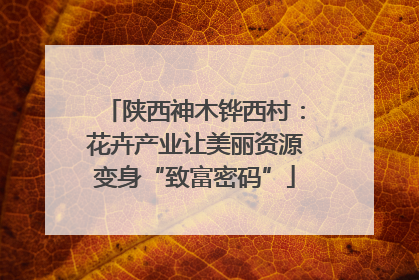 陕西神木铧西村：花卉产业让美丽资源变身“致富密码”