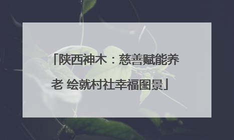 陕西神木：慈善赋能养老 绘就村社幸福图景