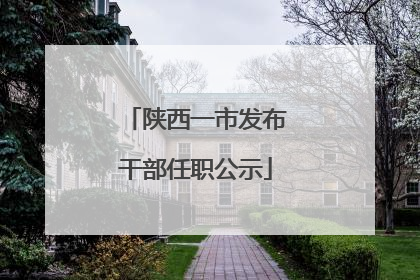 陕西一市发布干部任职公示
