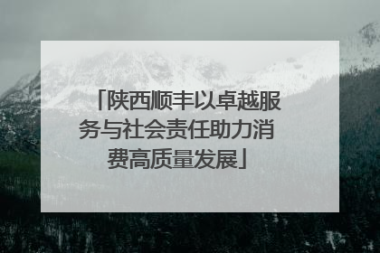 陕西顺丰以卓越服务与社会责任助力消费高质量发展