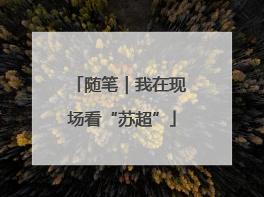 随笔｜我在现场看“苏超”