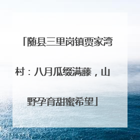 随县三里岗镇贾家湾村：八月瓜缀满藤，山野孕育甜蜜希望