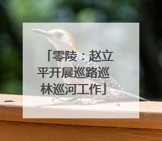 零陵：赵立平开展巡路巡林巡河工作
