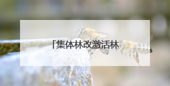 集体林改激活林下经济一池春水
