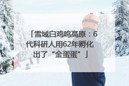 雪域白鸡鸣高原：6代科研人用62年孵化出了“金蛋蛋”