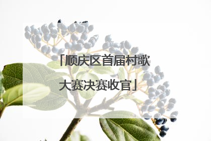顺庆区首届村歌大赛决赛收官