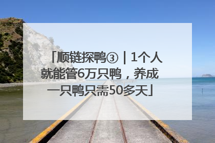 顺链探鸭③｜1个人就能管6万只鸭，养成一只鸭只需50多天