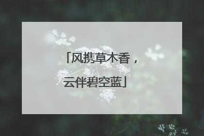 风携草木香，云伴碧空蓝