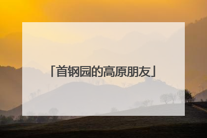 首钢园的高原朋友
