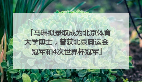 马琳拟录取成为北京体育大学博士，曾获北京奥运会冠军和4次世界杯冠军
