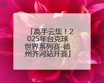 高手云集！2025年台克球世界系列赛-德州齐河站开赛
